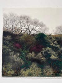 Image 1 of Almost Spring