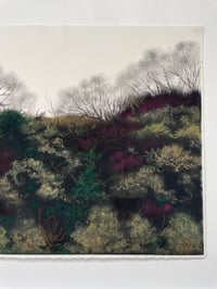 Image 5 of Almost Spring