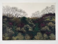 Image 2 of Almost Spring