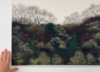 Image 3 of Almost Spring