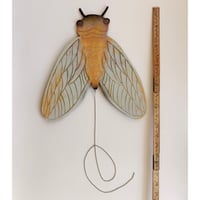 Image 5 of A fly on the wall