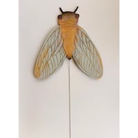Image 1 of A fly on the wall