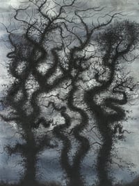 Image 1 of Serpent Trees