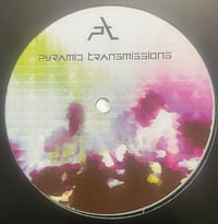 Image 2 of ADJ / PATHIC - Half Life 12"
