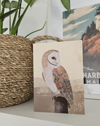 Image 2 of Set of 3 Owl Greetings Cards