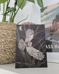 Image 3 of Set of 3 Owl Greetings Cards