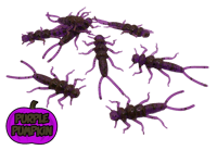 Image 17 of 2" Stonefly (8 Pack)