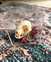 Image 1 of Custom Kitty Skull