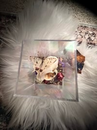 Image 3 of Custom Kitty Skull