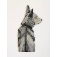 Image 1 of The Star Dog