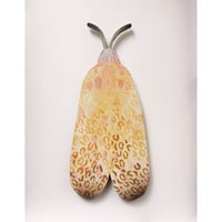 Image 1 of Leopard Moth