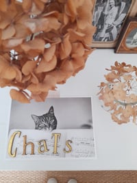 Image 1 of Mot “ChaTs“