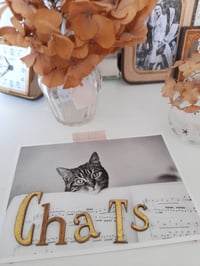 Image 2 of Mot “ChaTs“