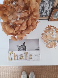 Image 3 of Mot “ChaTs“