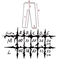 Image 14 of new pants "cybersigilism" M/L