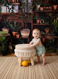 Image 1 of Green house Mini -Retainer only