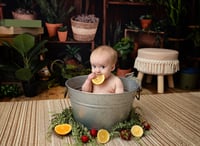 Image 2 of Green house Mini -Retainer only