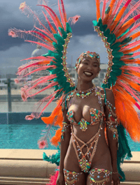 Image 4 of Group Trip to Trinidad Carnival 2027