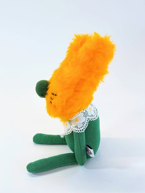 Image of Ross rabbit