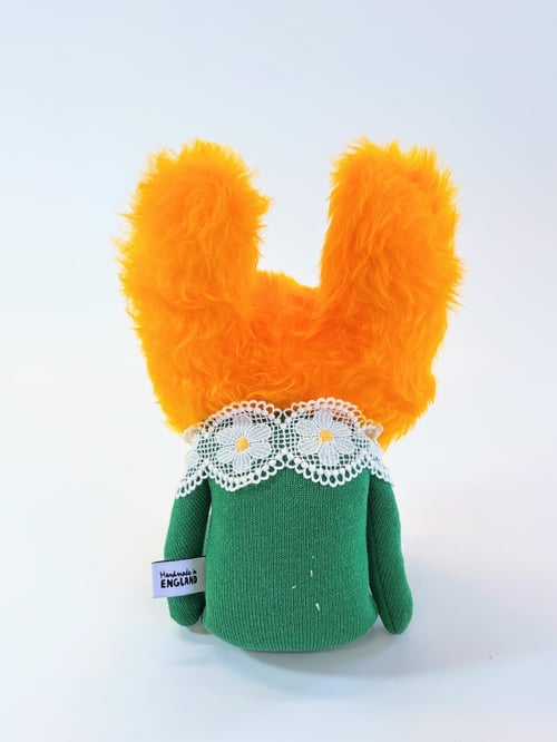 Image of Ross rabbit