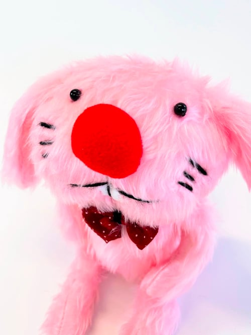 Image of Julie rabbit