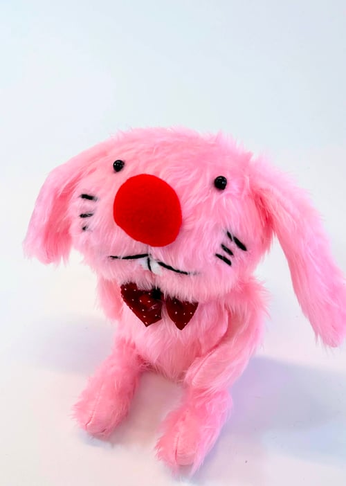 Image of Julie rabbit