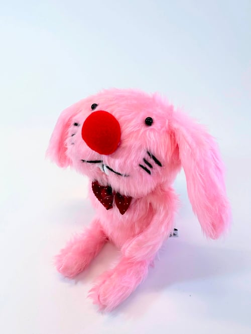 Image of Julie rabbit