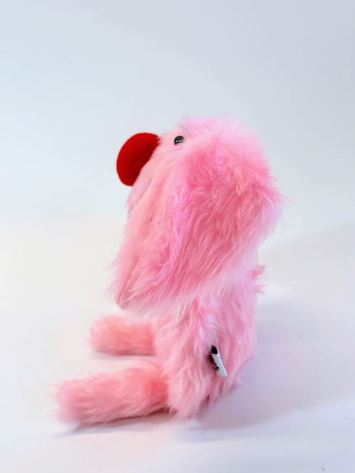 Image of Julie rabbit