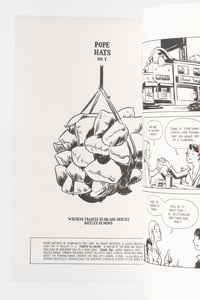 Image 2 of Pope Hats 1 by Hartley Lin