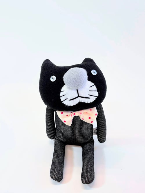 Image of Chris the crazy cat