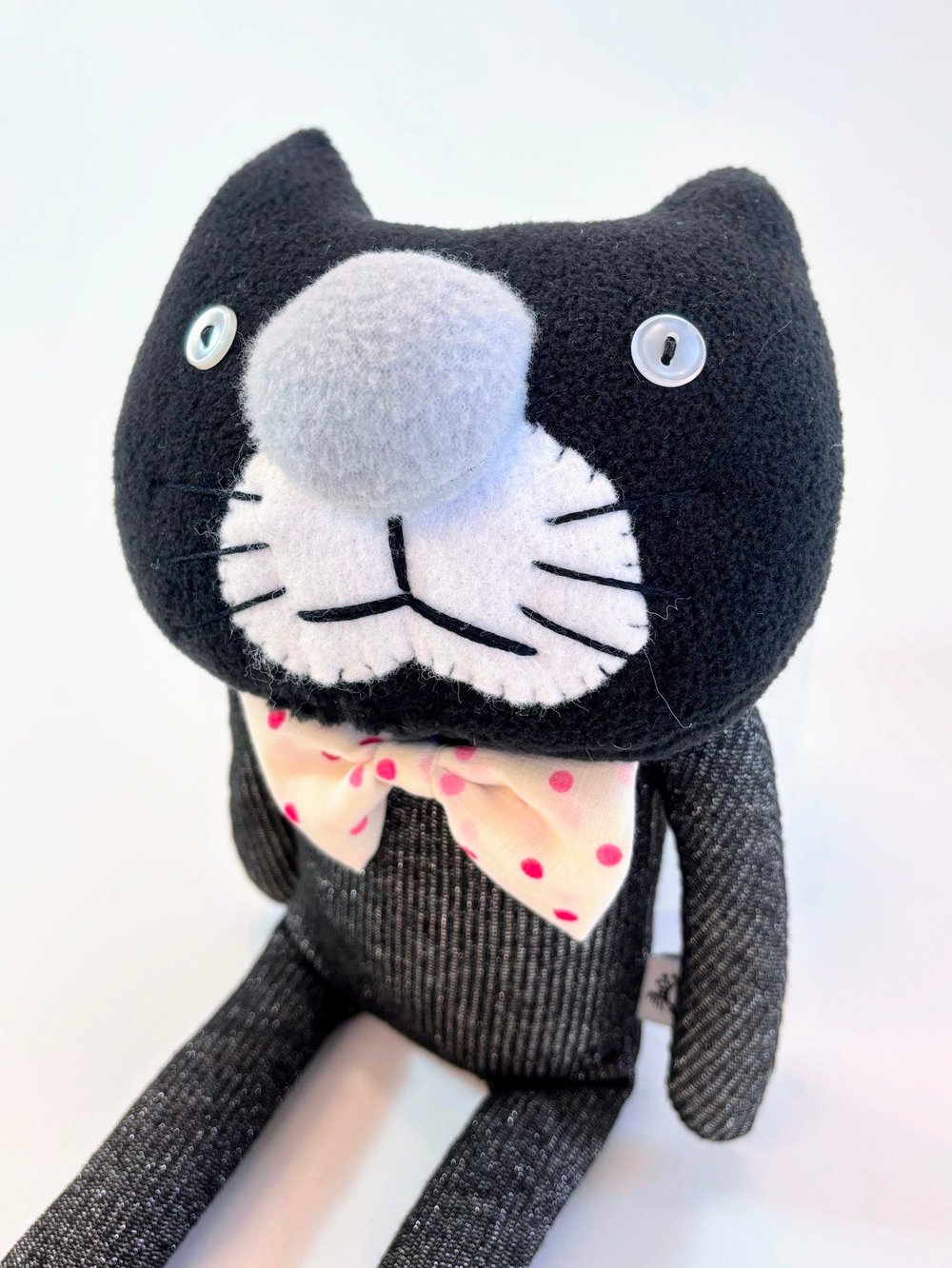 Image of Chris the crazy cat