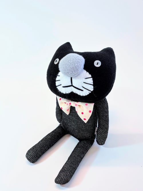 Image of Chris the crazy cat