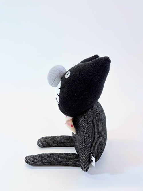 Image of Chris the crazy cat