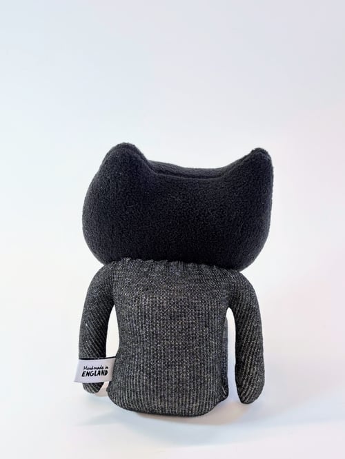 Image of Chris the crazy cat