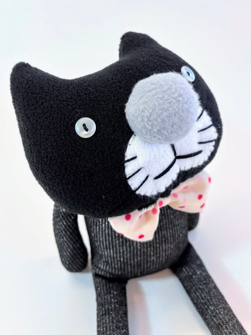 Image of Chris the crazy cat