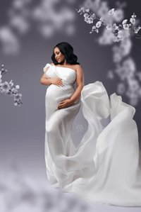 Image 1 of Platinum Package - $850