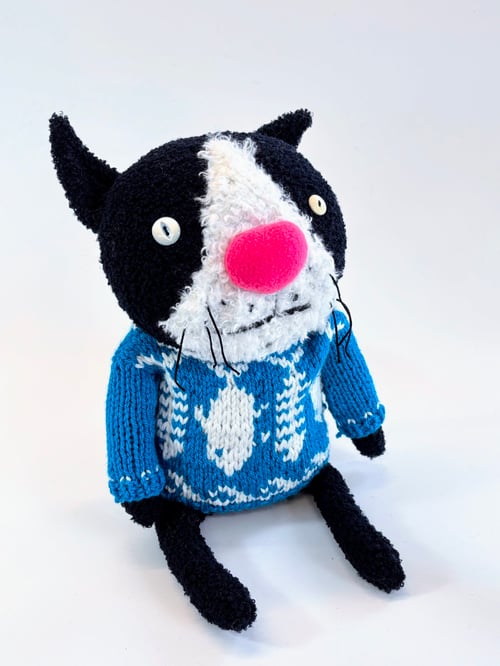 Image of Kasabian the crazy cat