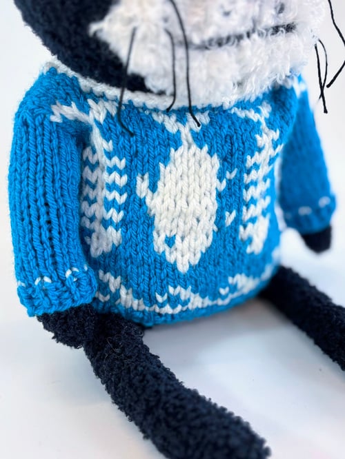 Image of Kasabian the crazy cat