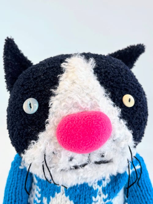 Image of Kasabian the crazy cat