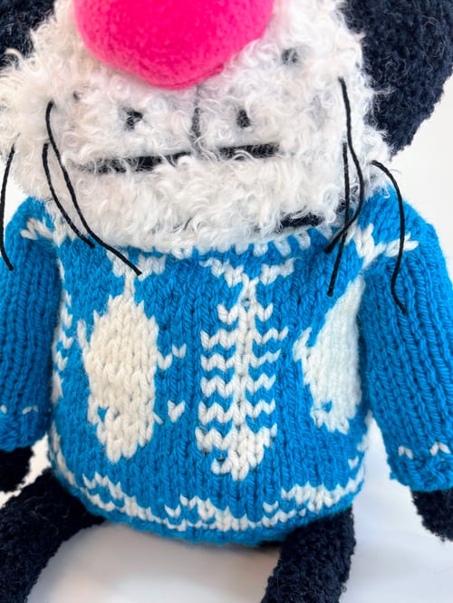 Image of Kasabian the crazy cat