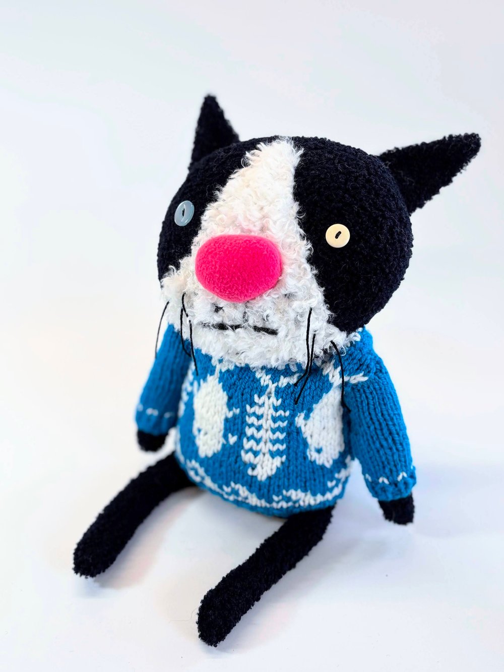 Image of Kasabian the crazy cat