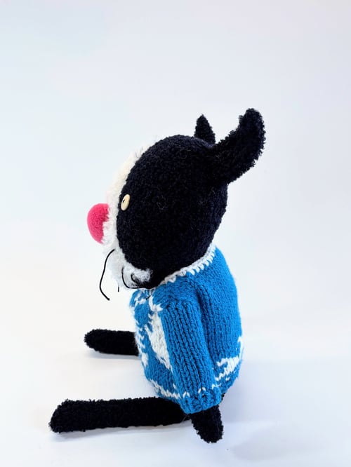 Image of Kasabian the crazy cat 