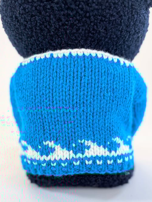 Image of Kasabian the crazy cat