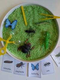 Image 2 of 🐞 Wild Cubs Mini Beast Explorer Kit 🐛