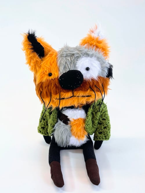 Image of Mog the tortoise shell cat