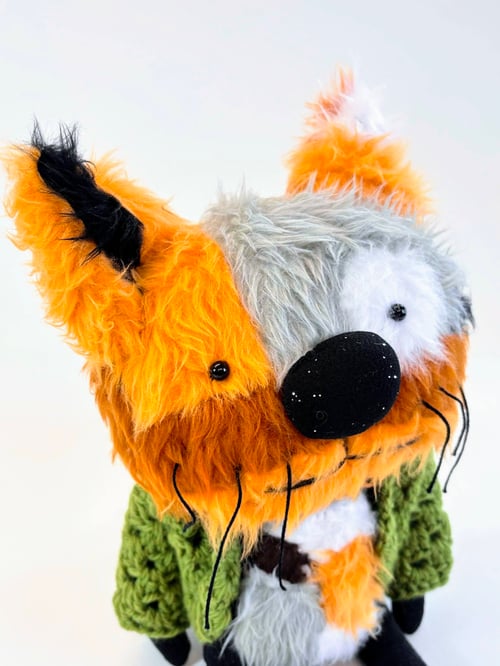 Image of Mog the tortoise shell cat