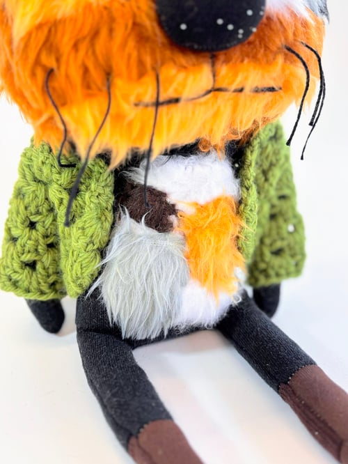 Image of Mog the tortoise shell cat