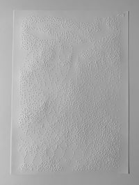 Image 7 of the wind whistles