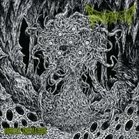 Image 1 of DEFENESTRATION – Mortal Cremation CD