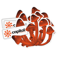 Mushroom Stickers